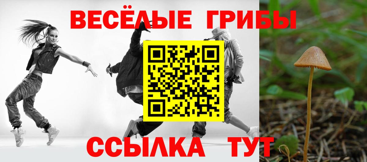 Надым  Псилоцибиновые грибы GOLDEN TEACHER  Вход с VPN  купить  цена  Псилоцибиновые грибы Psilocybine cubensis 